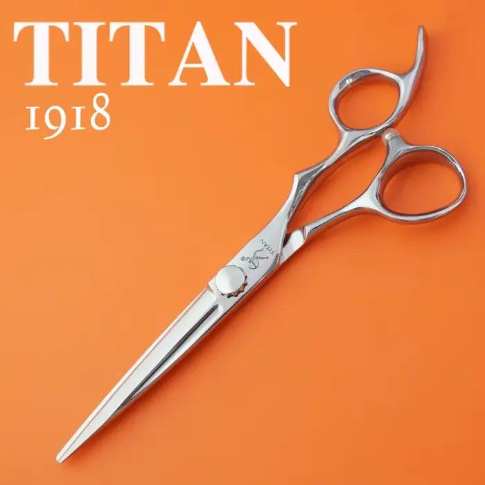 Titan barbier cheveux ATS314 japon acier professionnel tondeuses à cheveux ciseaux pour stylistes et