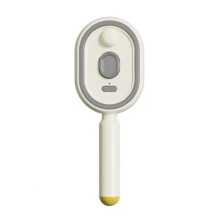 Brosse à cheveux électrique 2-en-1 avec pulvérisation d'eau, réduit les frisottis, antistatique, pei