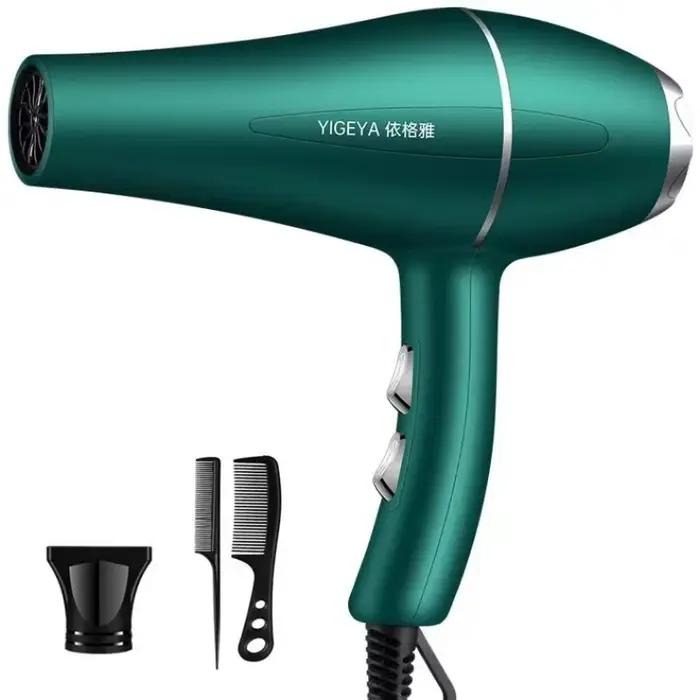 Sèche-cheveux professionnel pour salon de coiffure, puissance 220 W, 1200 V