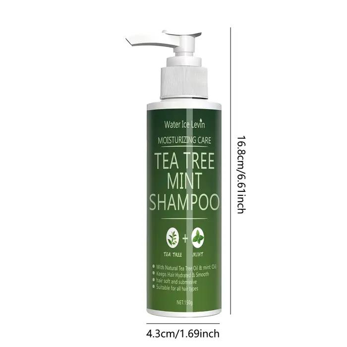 Shampoing à la menthe à l'arbre à thé