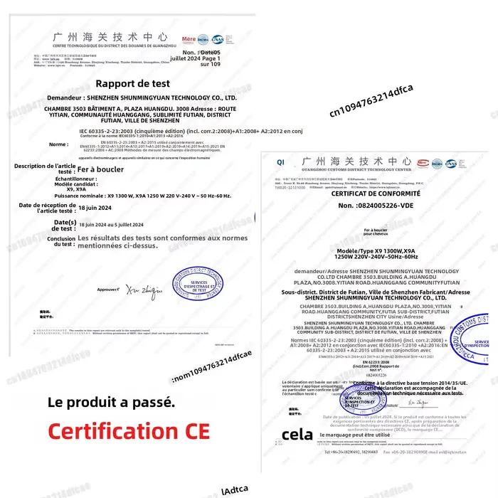 Sèche-cheveux et lisseur professionnel 2 en 1