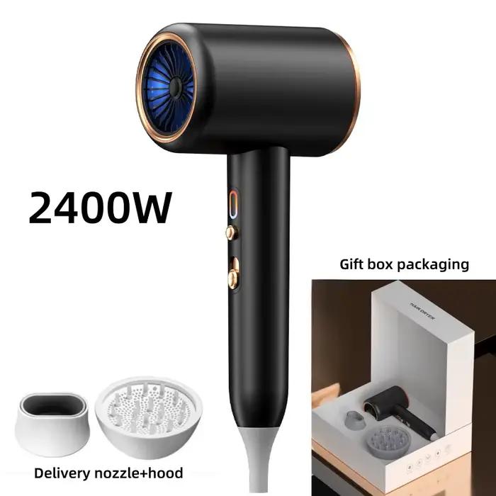 Sèche-cheveux haute vitesse professionnel/domestique 2400W