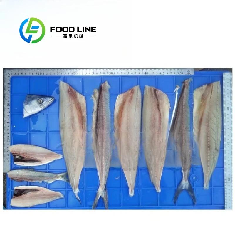Machine électrique commerciale pour petits filet de poisson, coupe-tranches de poisson pour maquereau de morue Saury pour le traitement des fruits de mer