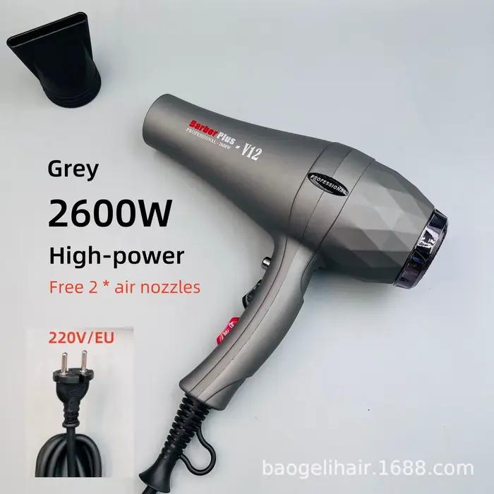 Sèche-cheveux professionnel haute vitesse 2600W, puissance élevée et flux d'air super puissant, séch